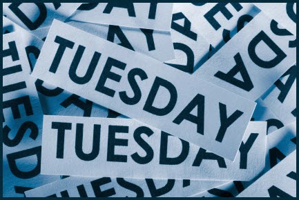 Answer Girl Five Good Things about Tuesdays