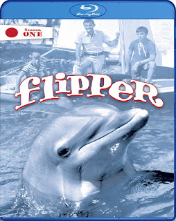 Flipper – Temporada 1 [3xBD25] *Subtitulada