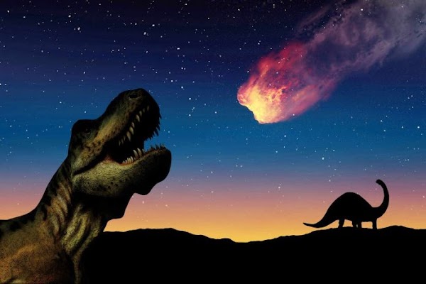 Los dinosaurios ya se extinguían antes de lo que se creía