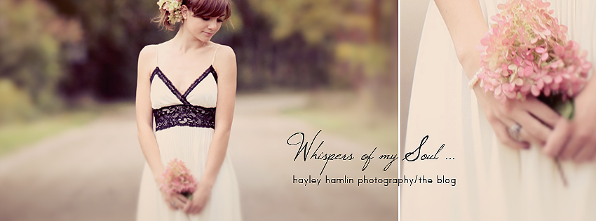 Hayley Hamlin Photography/The Blog