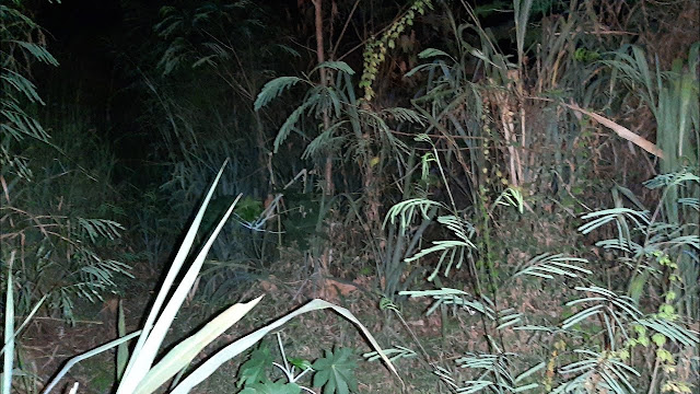 Adolescente é estuprada após sair de igreja no Bairro Nacional