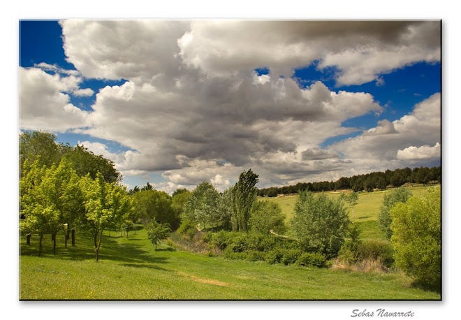 Primavera abril 2011