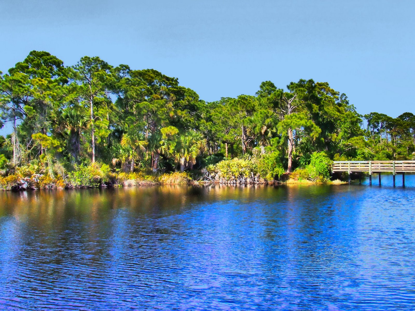 Jer's Gallery A Sebastian Lake