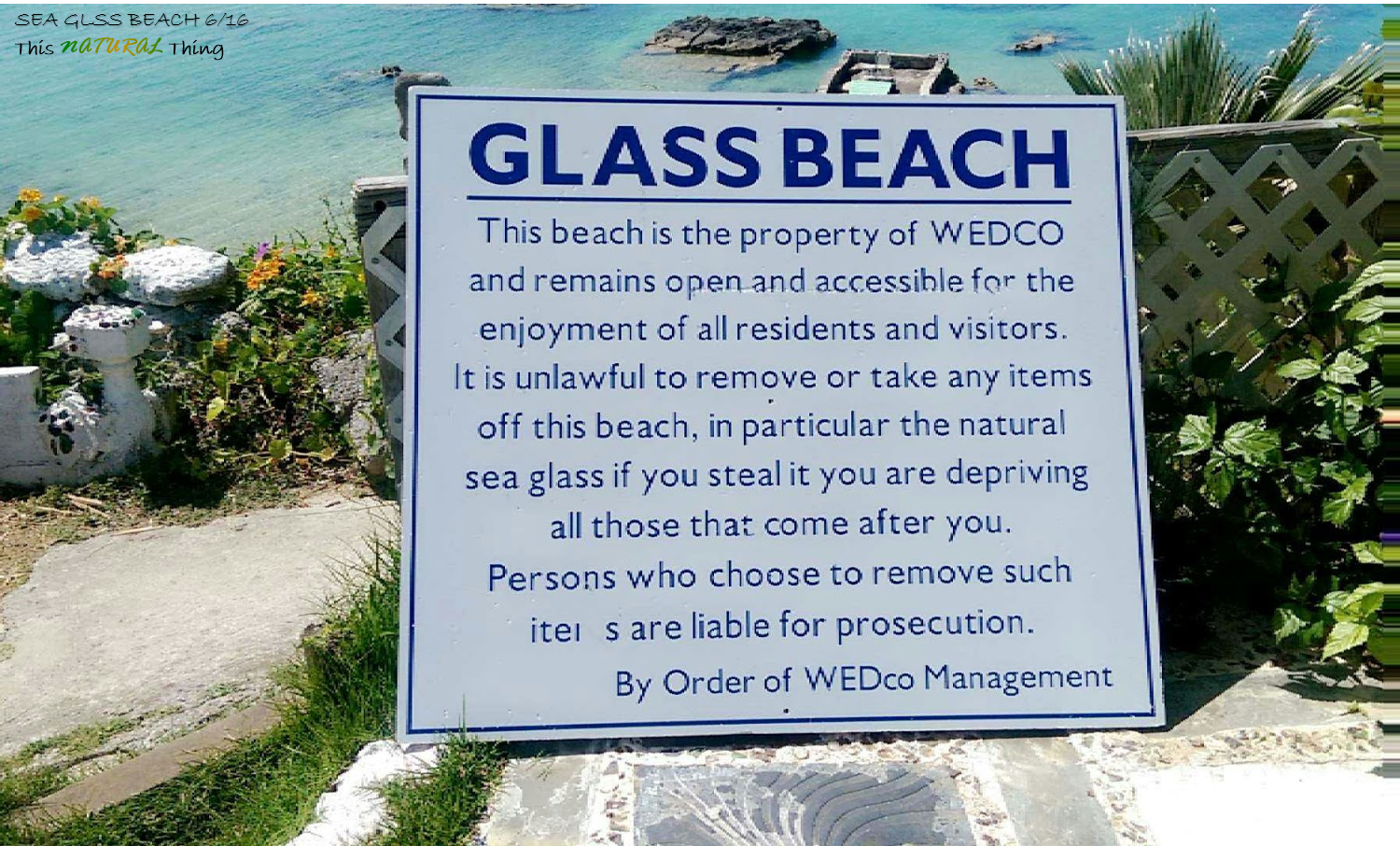 This NATURAL Thing Sea Glass Beach I Live Where I Vacation This NATURAL Thing Sea Glass Beach I Live Where I Vacation