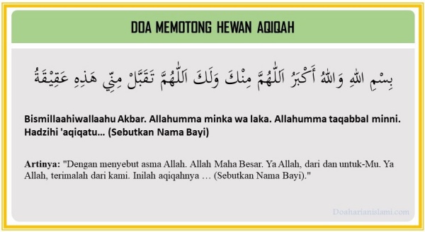 Niat Akikah Untuk Anak - Tess-has-Delacruz