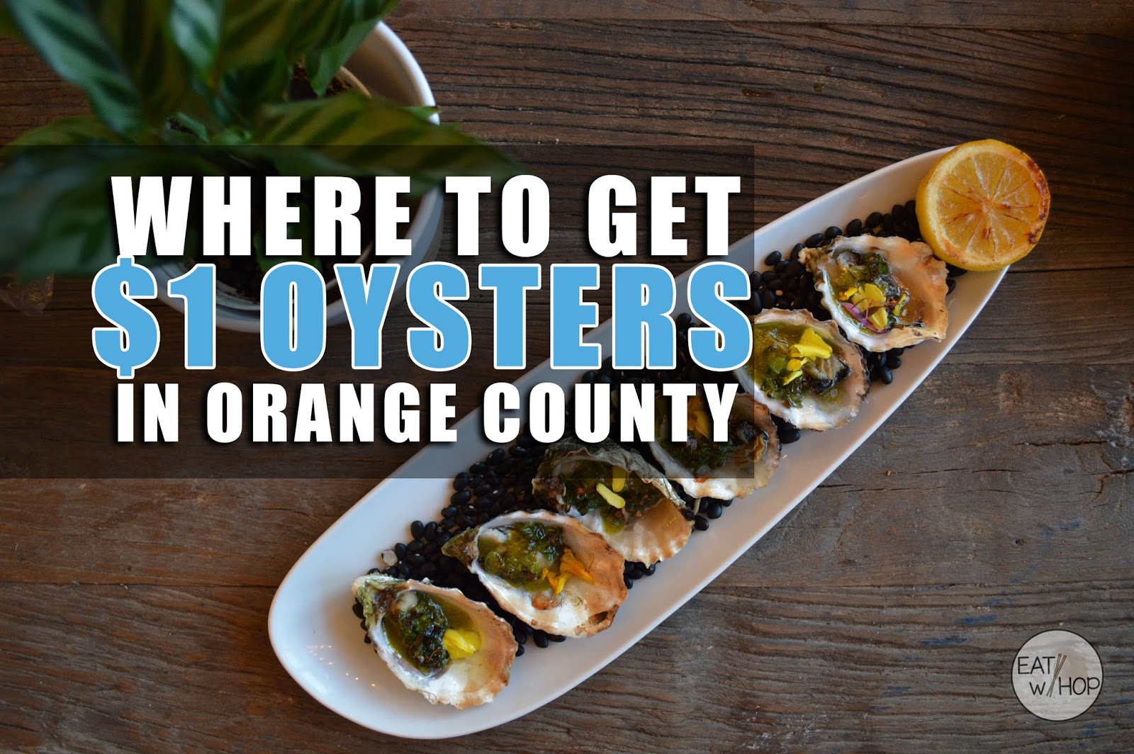 Your Ultimate Guide to 1 Oysters in Orange County