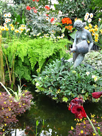 Allan Gardens Conservatory 2012 Spring Flower Show leda statue and swan fountain with hellebores, amaryllis, oxalis by garden muses: a Toronto gardening blog