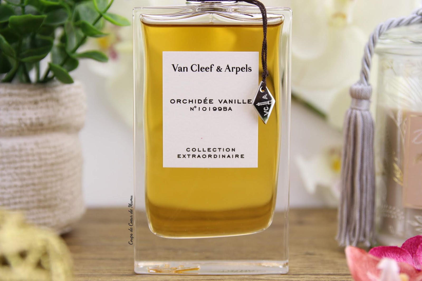 Orchidée Vanille, le Parfum de la Collection Extraordinaire de Van Cleef & Arpels Coups de Orchidée Vanille, le Parfum de la Collection Extraordinaire de Van Cleef & Arpels Coups de