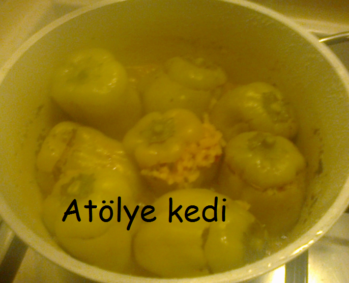 Atölye Kedi Ekim 2013