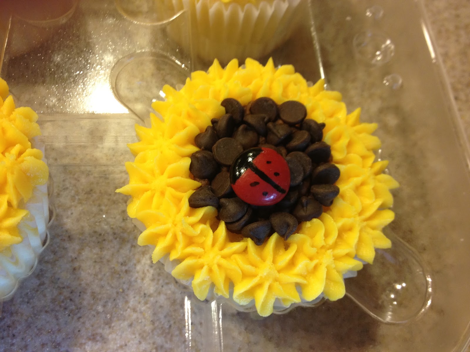 Ladybugs Bakery Cupcakes