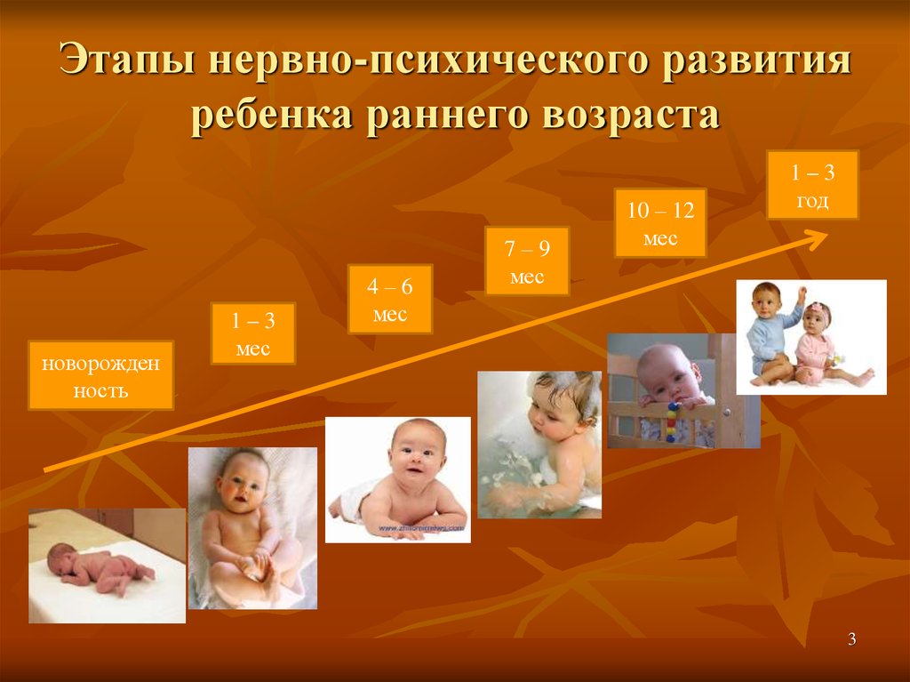 Ранняя новорожденность. Этапы нервно-психического развития. Стадии развития ребенка этапы развития. Этапы формирования ребенка. Стадии психического развития ребенка.