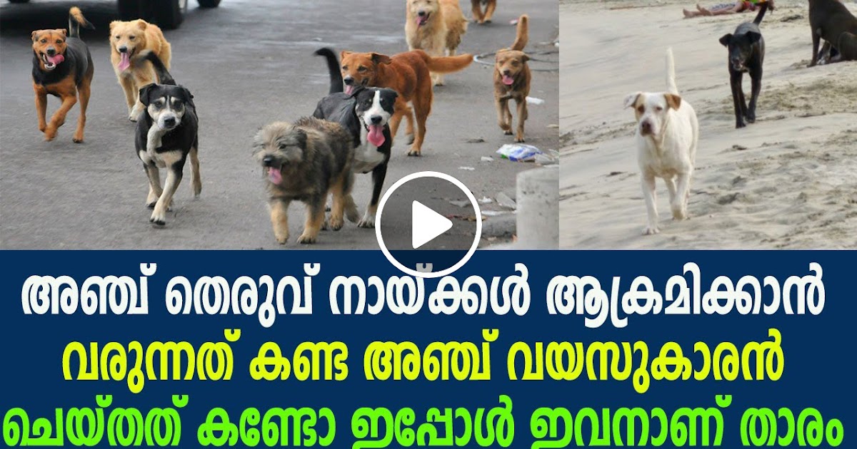 trending news stories trending news stories
