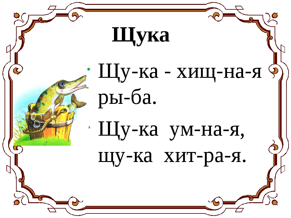 слоги с буквой щ. дифференциация ч щ в предложениях. слова с буквой щ для дошкольников. предложение с буквой щ 1 класс. чтение с буквой щ для дошкольников.