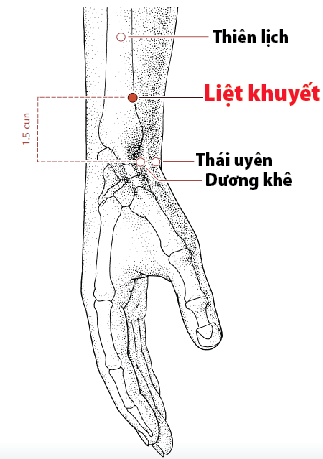 Vị trí huyệt thiên lịch