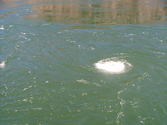Whirlpools in the San Juan's and Deception Pass