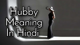 Hubby Meaning In Hindi