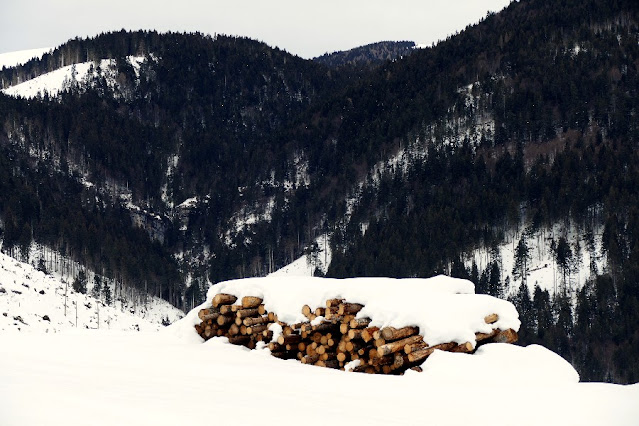 escursioni passeggiate invernali altopiano asiago sette comuni