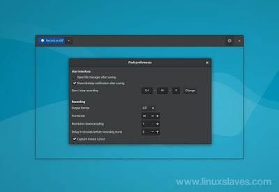 Peek GIF Maker App for Linux Settings