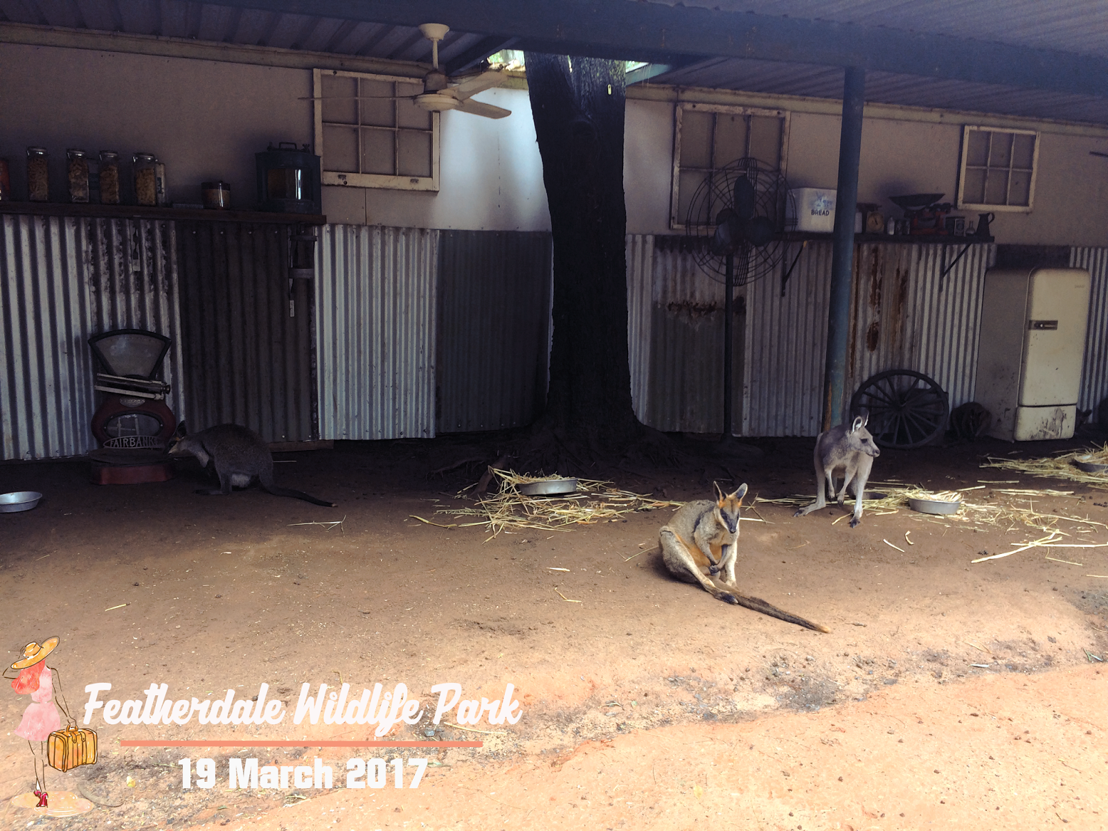 Featherdale Wildlife Park