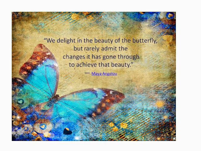 Image result for maya angelou butterfly quote