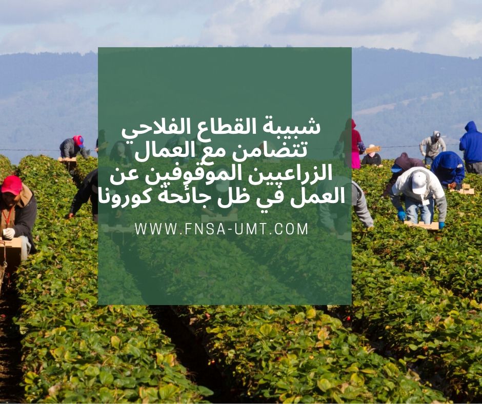 شبيبة القطاع الفلاحي تتضامن مع العمال الزراعيين الموقوفين عن العمل في ظل أزمة كورونا شبيبة القطاع الفلاحي تتضامن مع العمال الزراعيين الموقوفين عن العمل في ظل أزمة كورونا
