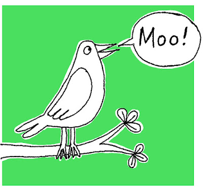 A pigeon saying "Moo!"