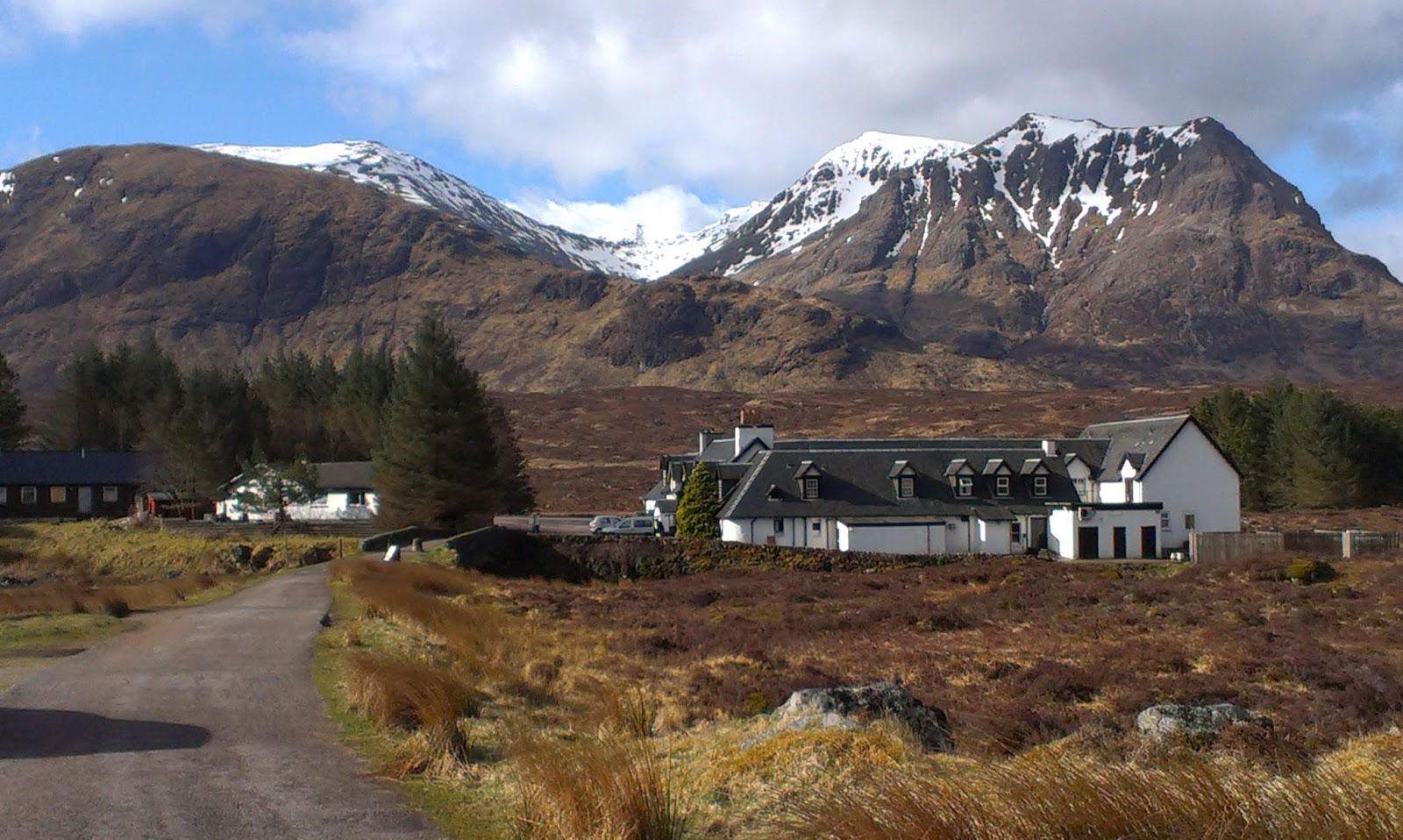 Modelwidow West Highland Knits