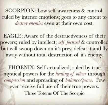 Astrology, Horoscope, Scorpio, Phoenix