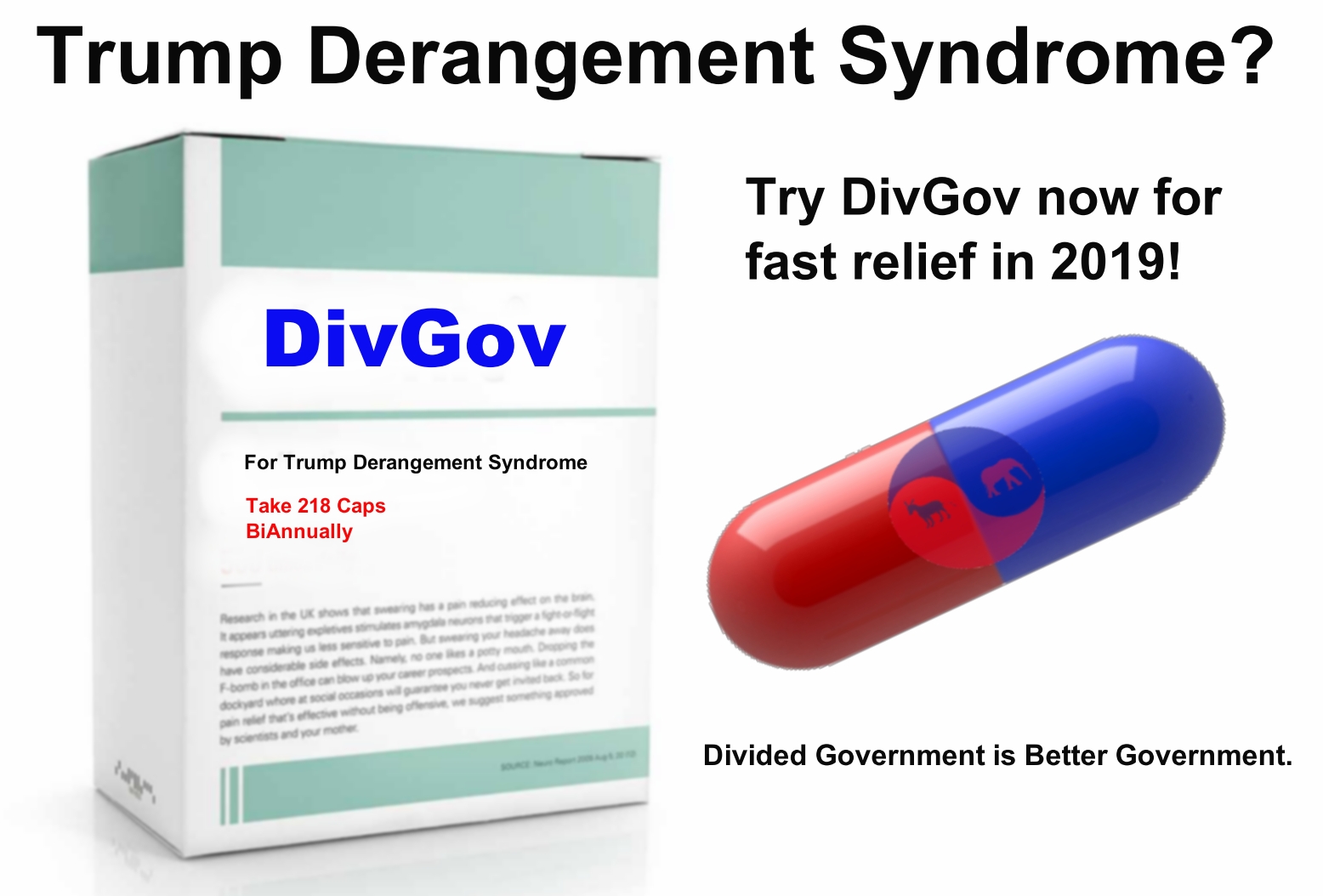 DivGov%2Bfor%2BTDS.jpg