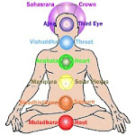 Teste Aqui Seus Chakras