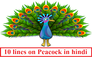 10 lines on Peacock in hindi