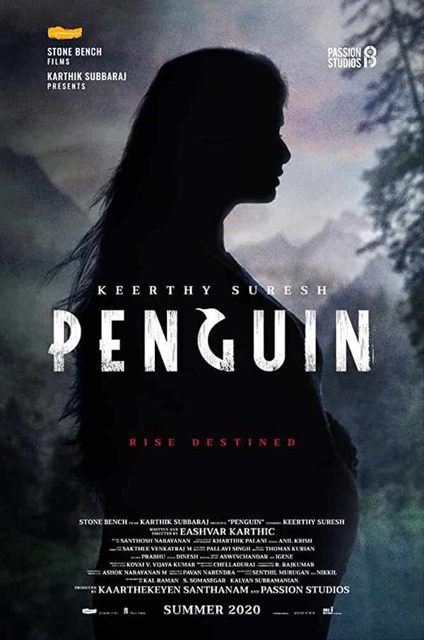 Penguin: Box Office, Budget, Hit or Flop, Predictions, Posters, Cast