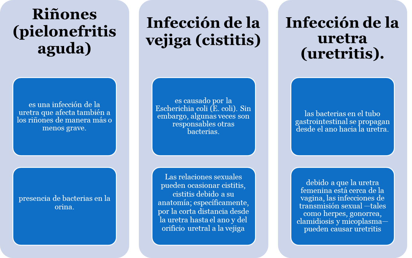 keflex causa micción frecuente