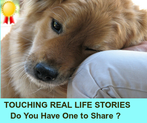 Touching Real Life Stories 