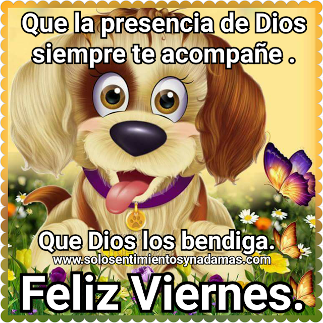 Feliz viernes.