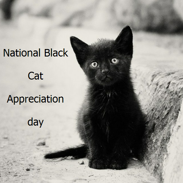 National Black Cat Appreciation Day Wishes Images Whatsapp Images