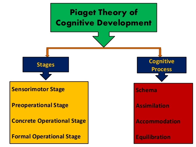 Piaget 4 Stages Of Cognitive Development Chart