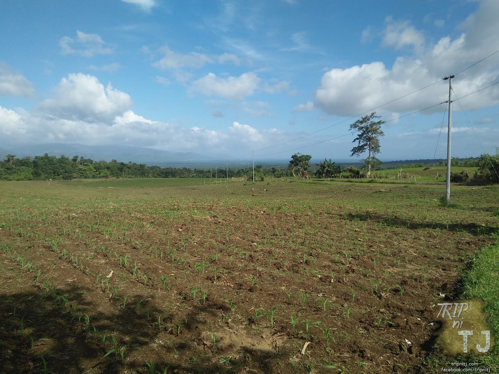 Trip ni TJ Top 10 Exciting Things to Try in Goa, Camarines Sur