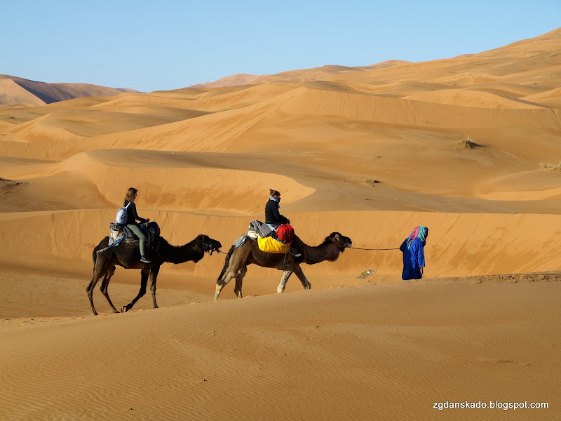 Erg Chebbi