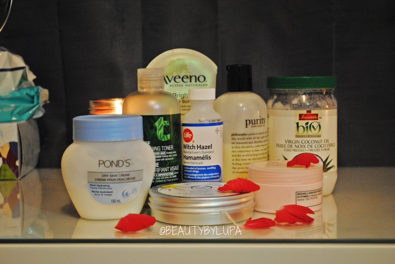 DIY Facial At Home Skin Care Routine Lupa Bee