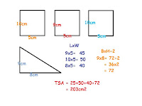 873 Math Blog (2011): Michael's Surface Area Post