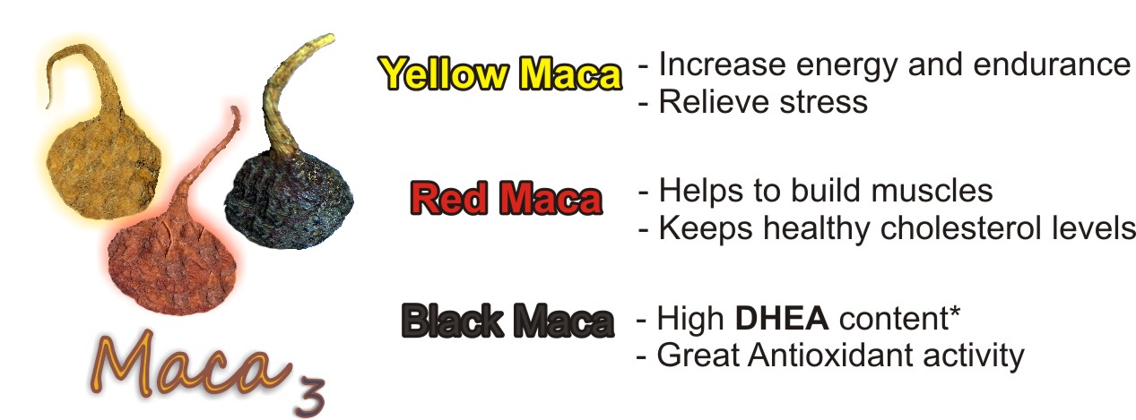 Difference Between Red Black And Regular Maca Root 32