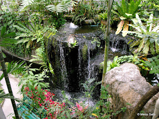 JARDÍN DE MARIPOSAS, BANGKOK. TAILANDIA 