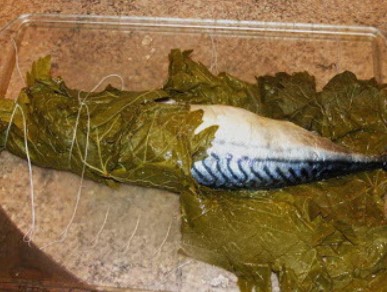 скумбрия в виноградных листьях рецепт. Смотреть фото скумбрия в виноградных листьях рецепт. Смотреть картинку скумбрия в виноградных листьях рецепт. Картинка про скумбрия в виноградных листьях рецепт. Фото скумбрия в виноградных листьях рецепт скумбрия в виноградных листьях рецепт. Смотреть фото скумбрия в виноградных листьях рецепт. Смотреть картинку скумбрия в виноградных листьях рецепт. Картинка про скумбрия в виноградных листьях рецепт. Фото скумбрия в виноградных листьях рецепт