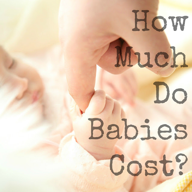 Wafflemama. Baby Budget How Much Do Babies Cost?