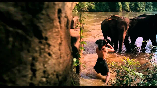 Thailand Movie Action - Kumpulan Foto Yamada The Samurai of Ayothaya, Fakta YamadaThe Samurai of Ayothaya dan Videonya