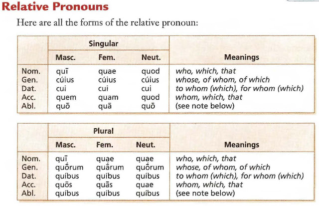 Latin Relative Pronoun Chart