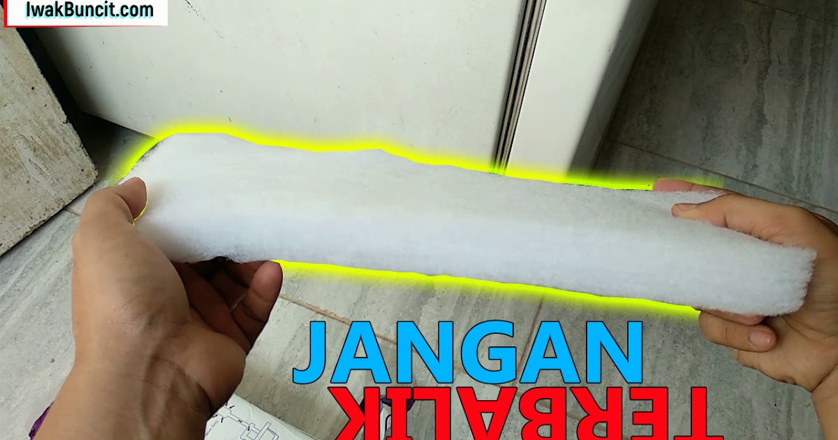 Perhatikan Penting Ini Sebelum Memasang Filter Mekanik Busa Di Box Filter Aquarium Ikan Mas Koki