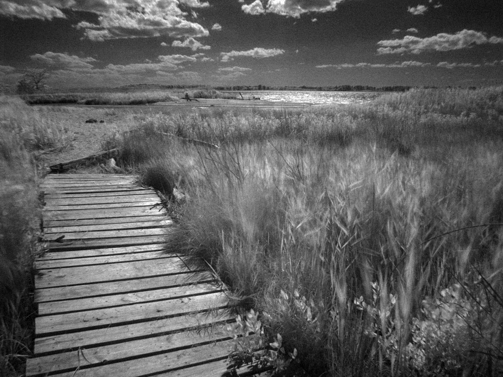 Foto De Un Paisaje En Blanco Y Negro Muchas Fotos