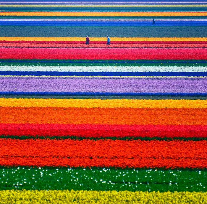 20 صورة لأماكن لن تصدق وجودها ..ولكنها موجودة !